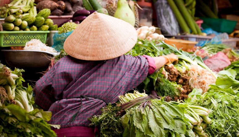 Supply Chain Finance in Vietnam: Emerging Trends and Opportunities